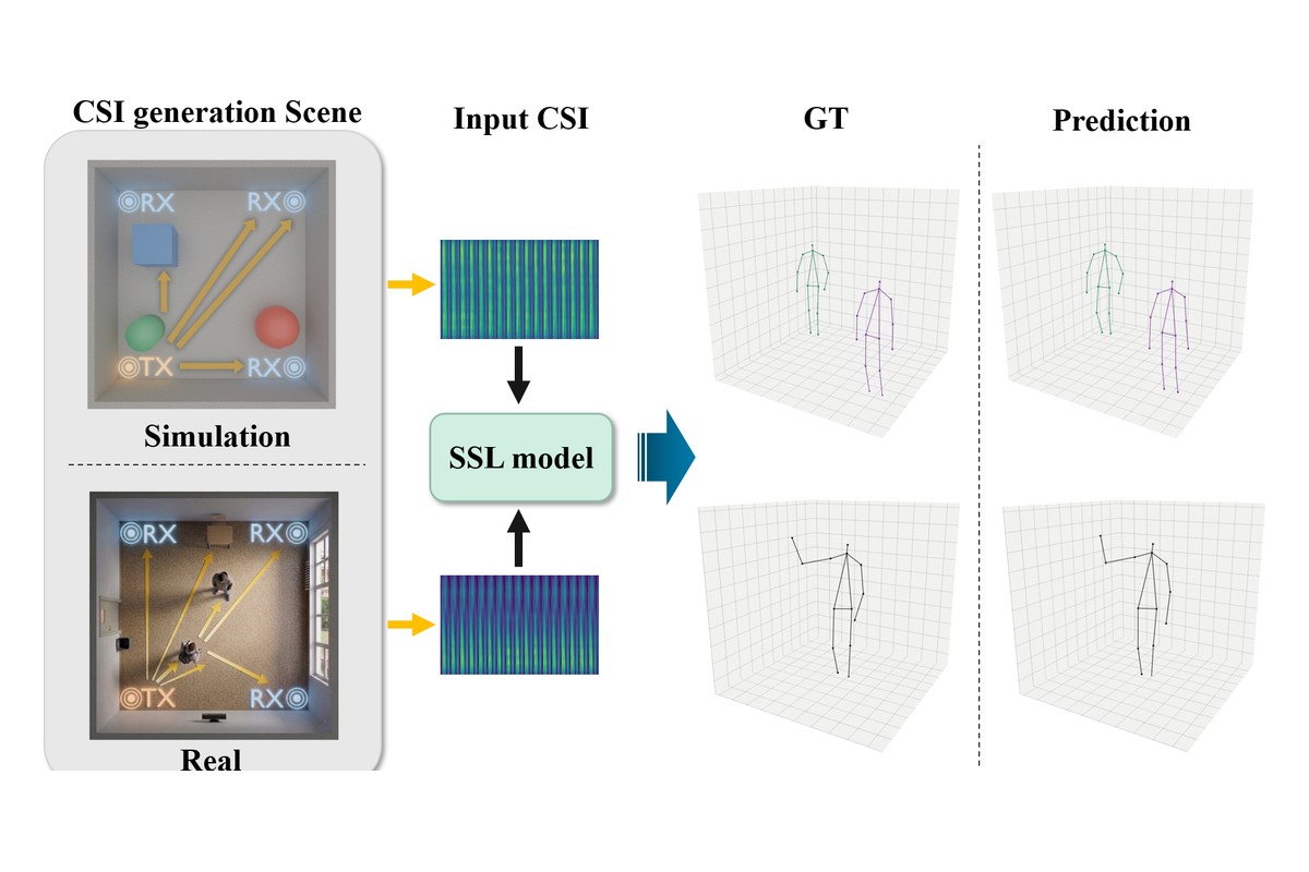 Self-Supervised WiFi Sensing for 3D Human Pose